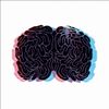 BRAiNMATHS
