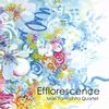 Efflorescence