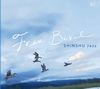 Free Bird
