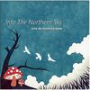 Into The Northern Sky
