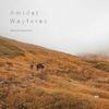 Amidst Wayfares