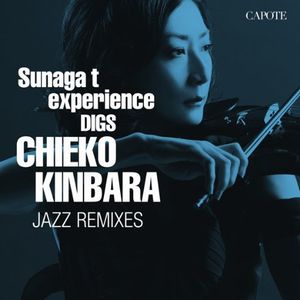 Sunaga t experience DIGS CHIEKO KINBARA ～CHIEKO KINBARA JAZZ REMIXES